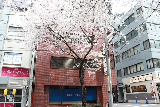 サクラサク鍼灸カイロプラクティック 日本橋茅場町院