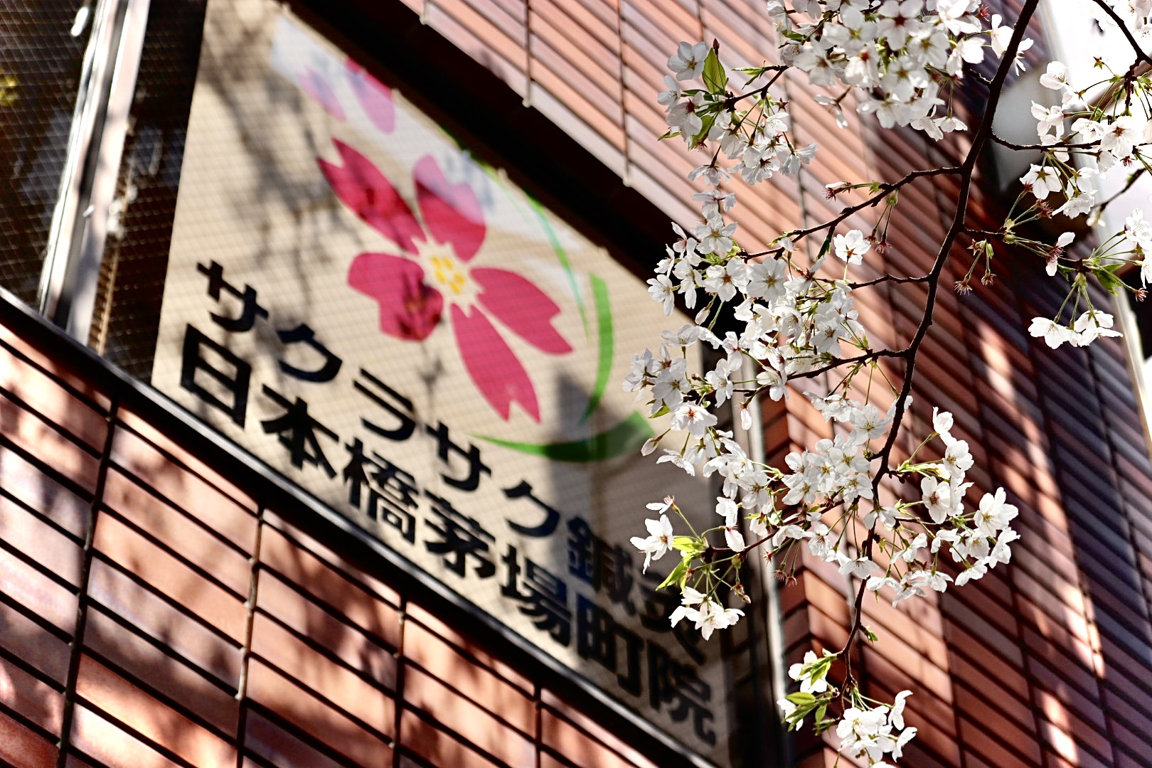 サクラサク鍼灸カイロプラクティック 日本橋茅場町院